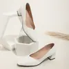 Zapatos de tacón de bloque estilo francés para mujer, Nuevos zapatos de noche estilo hada para Primavera y Otoño 2025, Zapatos elegantes de tacón medio para el trabajo