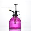 Regadera de vidrio transparente transfronteriza de color para escritorio, rociadora de plantas verdes carnosas, herramientas de riego para jardinería, adornos al por mayor