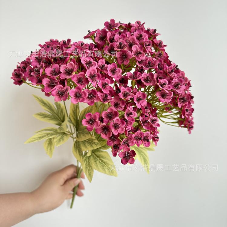 微信图片_202305101709195_副本