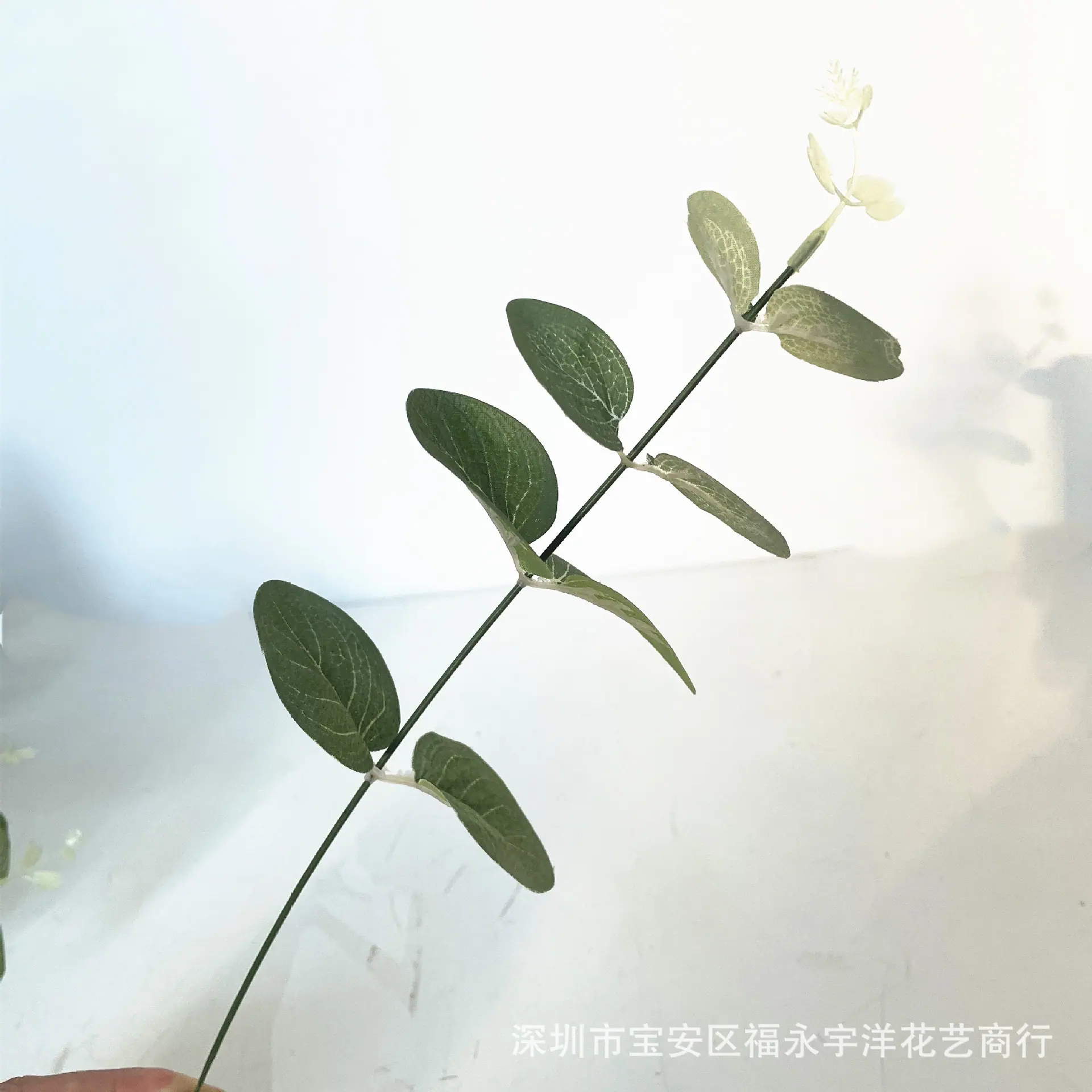 微信图片_202210021707307_副本.jpg
