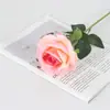 Rosas Simuladas de Veludo, Rosas de Pérola, Decoração de Parede de Rosas para Casa, Hotel, Casamento, Dia dos Namorados, Flores de Seda, Flores Artificiais