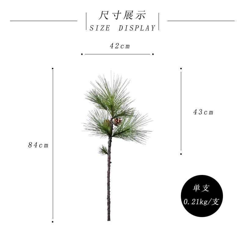 尺寸展示.jpg
