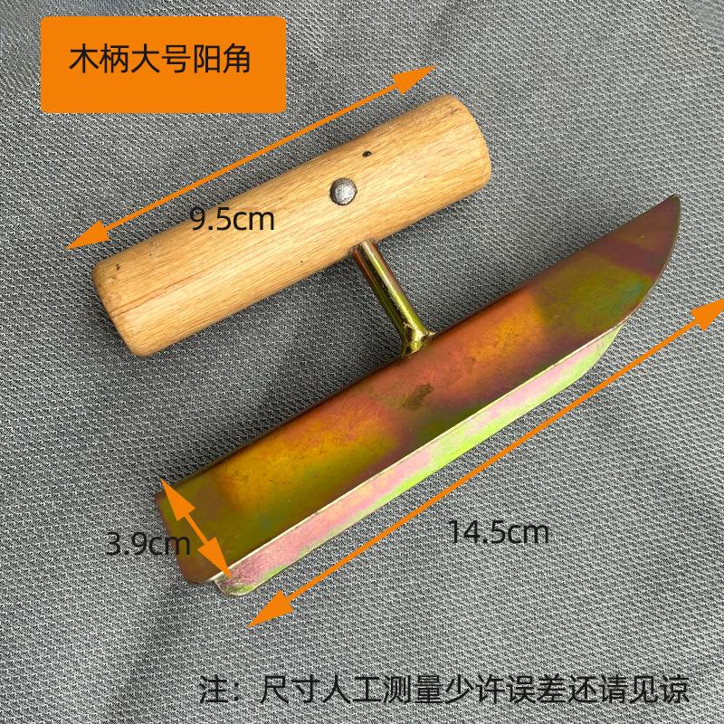 大阳