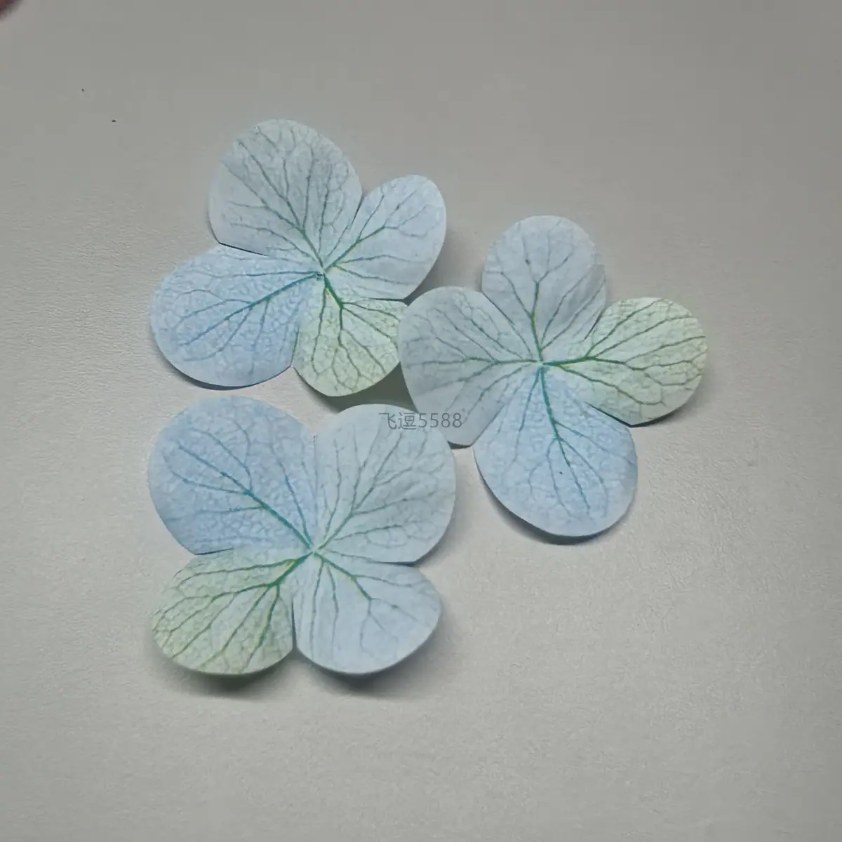 微信图片_20260106190002_8_66.jpg