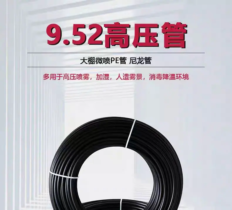 微信图片_202411122025341