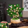 Árbol en maceta con múltiples frutos, adecuado para escritorio de oficina, planta verde estilo Zen, bonsái y una planta que da frutos y tiene follaje atractivo durante todo el año