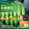 Shandong Shouguang enciclopédia de sementes de vegetais atacadista fonte de sementes de melão e frutas fabricantes suporte para todas as quatro estações primavera e verão uma geração de cabelo