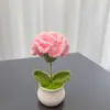 Buquê de Cravos de Crochê de Lã Acabado Transfronteiriço em Vaso Presente Dia das Mães Dia dos Professores Pequenos Enfeites para Casa