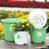 Nuevo Maceta Deepot Estilo Escandinavo Engrosada Fresa Buganvilia Potos Hortensia Transpirable Plástico Resina Maceta para Flores