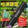 Luz UV para Identificación de Verduras, Solución de Burdeos, Bolígrafo Detector de Alumbre Azul, Linterna de 365nm, Agente Fluorescente, Luz Ultravioleta