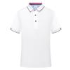 Ropa de trabajo de seda de hielo de manga corta, polo, ropa de trabajo personalizada, camiseta de actividades, camiseta cultural publicitaria, ropa de clase, bordado de logotipos