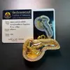 Amuleto Budista Tailandés de Pho Muang 2562, Auténtico Amuleto Tailandés Original con la Imagen del Gran Hacha Matademonios