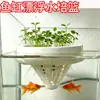 Cesta de Plantio Hidropônico para Aquário Multifuncional Fixação Livre Flutuante Automática Simbiose Peixe e Planta Plantas Verdes Aquáticas Vaso de Plantio de Grama Aquática