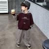 Conjunto de Sudadera Rayada para Niños Primavera y Otoño, Conjunto Deportivo de Sudadera de Terciopelo para Niños de Invierno, Ropa de Moda para Bebés Niños