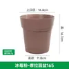 Vaso de Flores Respirável Universal, Vaso Moraga de Galão, Vaso de Flores de Plástico Resina para Mesa Balcão, Vaso Respirável para Suculentas com Prato