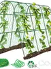 Treliça de Pepino Estilo Pastoral, Treliça de Feijão, Treliça de Uva, Treliça de Tomate, Estrutura de Suporte para Plantas Trepadeiras de Melão