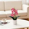 Flores Artificiales Phalaenopsis 5 Flores Artificiales en Maceta Bonsái Escena de Hogar y Oficina Decoración de Plantas Verdes Accesorios de Paisajismo