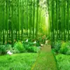 Novo Estilo de Fundo de Paisagem para Sala de Transmissão ao Vivo, Fundo Popular de Vulcão, Fundo 3D para Transmissão ao Vivo ao Ar Livre