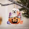 Fronteiriço Novo Criativo Abóbora Cachorro Carro Pendurado Halloween Árvore de Natal Pendurada Decorações para Casa
