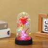 Adornos Acrílicos de Flores Eternas Transfronterizos Rosa Luz Nocturna A Prueba de Polvo Color Lámina de Oro Flor Adornos de Regalo para Vacaciones Venta al por Mayor