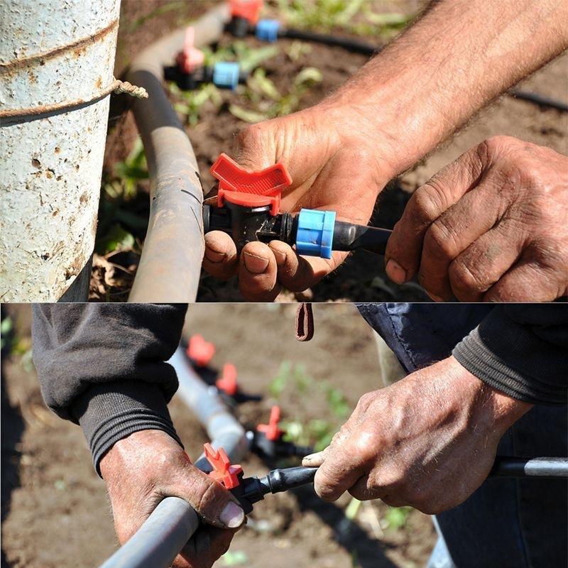 微信图片_20241022163145