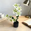 Nueva planta pequeña en maceta de flor de jazmín artificial con 9 tallos para ceremonia de boda, arreglo floral de mesa de comedor, adorno de bonsái decorativo de flor artificial