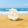 Concha de Pérola Artificial Desenho Animado Cor Sólida DIY Capa de Celular Fivela de Sapato Adesivo para Copo d'Água Material para Joias Cola Cremosa