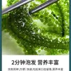 Uvas Marinas Saladas 100g Tiras de Algas Marinas Listas para Comer Verduras de Longevidad Verduras de Algas Marinas Alga Wakame Sushi Pescado Verde Mayoreo