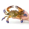 Figura Realista de Cangrejo Gigante Modelo de Animal Marino de Plástico con Cangrejo de Tres Ojos y Cangrejo Flor Roja Juguete Marino Educativo Decoración de Criatura Marina