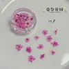 Materiais para Nail Art de Flores Secas do Jardim de Monet, Flores Naturais Reais, Pétalas Frescas, Efeito Clareador, Materiais Populares para DIY, Acessórios