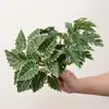 Plantas Verdes Simuladas Folhas de Jiboia Folhas de Casco de Tartaruga Paisagismo de Micro Paisagem Inseridas no Solo Folhas de Lótus de Guanyin Decoração de Casa Plantas em Vasos Plantas Artificiais