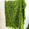 Gramado de Musgo Paisagismo Verde Musgo Gramado de Musgo Tanque Aquático-Terrestre Planta de Parede para Pavimentação Material para Base de Bonsai de Musgo Preservado
