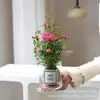 [con Capullos] Mini Planta de Rosa Hidropónica, Huishuiji, Florece Todo el Año, Planta Verde de Interior, Bola de Musgo de Fácil Cuidado