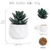 Planta en Maceta de Plástico Suculenta Simulada Planta Verde Decoración Creativa con Forma de Diamante para Escritorio de Oficina Mini Adorno