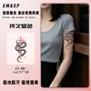 Tatuaje temporal estilo chino de tinta, serpiente y grulla, patrón contrastante oscuro de serpiente y grulla en rojo y negro, tatuaje impermeable para antebrazo y hombro