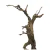 Tocones de Árbol Muerto Ramas Modelo Microscópico Escena Fabricación Suministros para Mascotas Base de Figura Embellecimiento de Fondo Decoración Obstáculo
