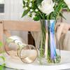 Vaso de vidro estilo ins nórdico flores aquáticas transparentes simples Lily Rose desktop Arranjo de flores Decoração de vaso