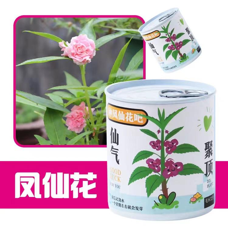 2b51fb2ddf8fc8f1a91d83a6a9481d