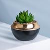 Maceta Cerámica Especial Narciso de Diámetro Ancho Ancho Corta Combinación de Orquídea Mariposa Dorada Galvanizada Europea Simple de Lujo Accesible Personalizada No Porosa