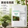 Fertilizante especial para bonsái, suave y de liberación lenta, promueve ramas y hojas frondosas, forma de planta compacta, mejora el valor ornamental general de las plantas de interior en maceta.
