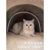 Nido de Gato Chios Invierno Engrosado Cálido Semi-Cerrado Casa Tienda para Gatos Adecuada para Todas las Estaciones, Cama para Perros Extraíble y Lavable