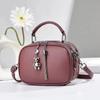 2024 Nova Moda bolsa de ombro estilo ocidental bolsa mensageiro grande capacidade estilo coreano pequena bolsa quadrada textura moderna multicamadas bolsa para celular