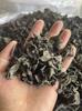 Fungo Negro de Heilongjiang Dongning, Produtos Agrícolas Secos de Norte a Sul, Fungo de Outono, Atacado em Massa, Dropshipping, Fungo em Forma de Tigela Pequena