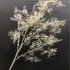 Simulación hierba de mil sedas cola suelta hoja hoja de hierro fila de hojas hierba escarcha persa colgante de pared colgante de techo de hoja de hierro plástico boda