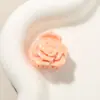 Pinza Mini de Garra Transfronteriza de 2.5cm Clip de Dopamina Estilo Clip Ins Flequillo Elegante Pinza para el Cabello Pasador Accesorio para el Cabello