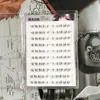 Sin Pegamento, No Requiere Retirada, Pestañas Inferiores Gruesas Tipo Gato, Pestañas Postizas Segmentadas, Realistas y Gruesas, Fáciles para Principiantes, Estilo Raza Mixta Asiática