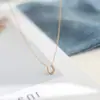 Colar de Aço Titânio com Zircônia Pequeno Ferradura de Nicho de Luxo para Mulheres, Corrente Simples e Estilosa para Clavícula, Acessórios Europeus e Americanos Exquisitos