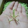 Anzuelos luminosos de acero de alto carbono de cuatro anclas para calamar pesca marítima anzuelo de línea fluorescente anzuelo de 4 garras anzuelo luminoso anzuelo de cuatro anclas de carbono ligero lote