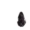 Peruca de Cabelo Cacheado Natural Curto Fofo Rabo de Cavalo Alto Feminino Flor de Pera Presilha Cacheada Rabo de Cavalo Falso Longo Artificial