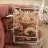 Pintura Thangka Dorada de las Vidas Pasadas y Presentes de Zaki Lam, los Ocho Zorros Guardianes, Pintura Thangka Semipintada a Mano sobre Lienzo